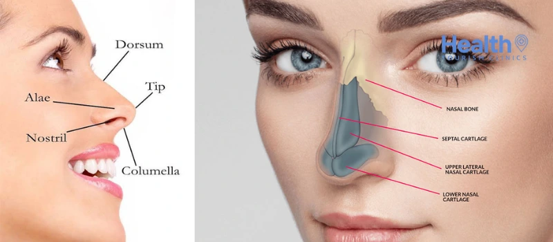 Does Rhinoplasty Help Breathing?