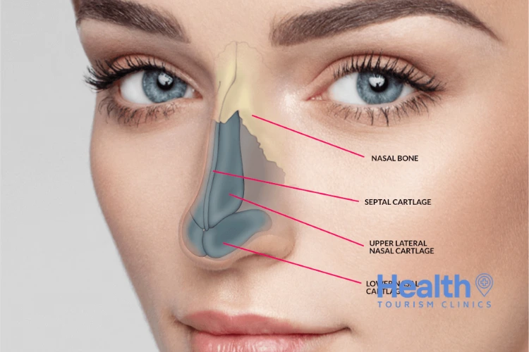 What Is Non-Surgical Rhinoplasty?