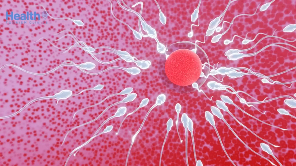 Sperm Sayısı Arttırma Yöntemleri