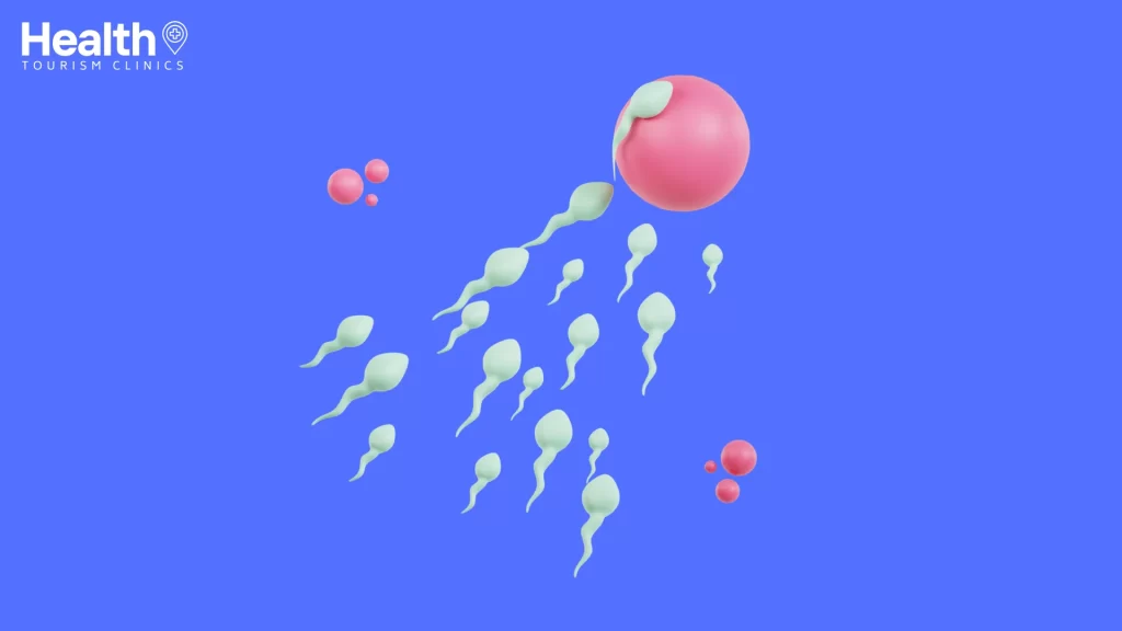 Sperm Sayısını Arttırmanın Faydaları