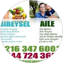 Yaşam Koçluğu Psikolojik Danismanlik 0533 373 8123
